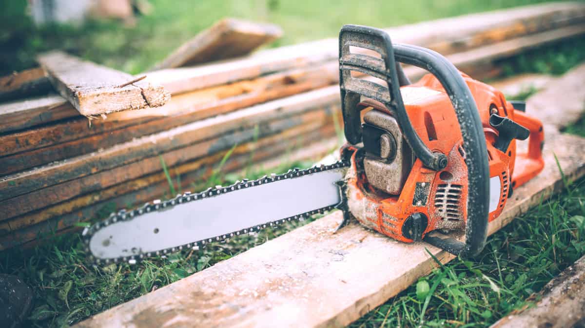 best chainsaw chain for hardwood