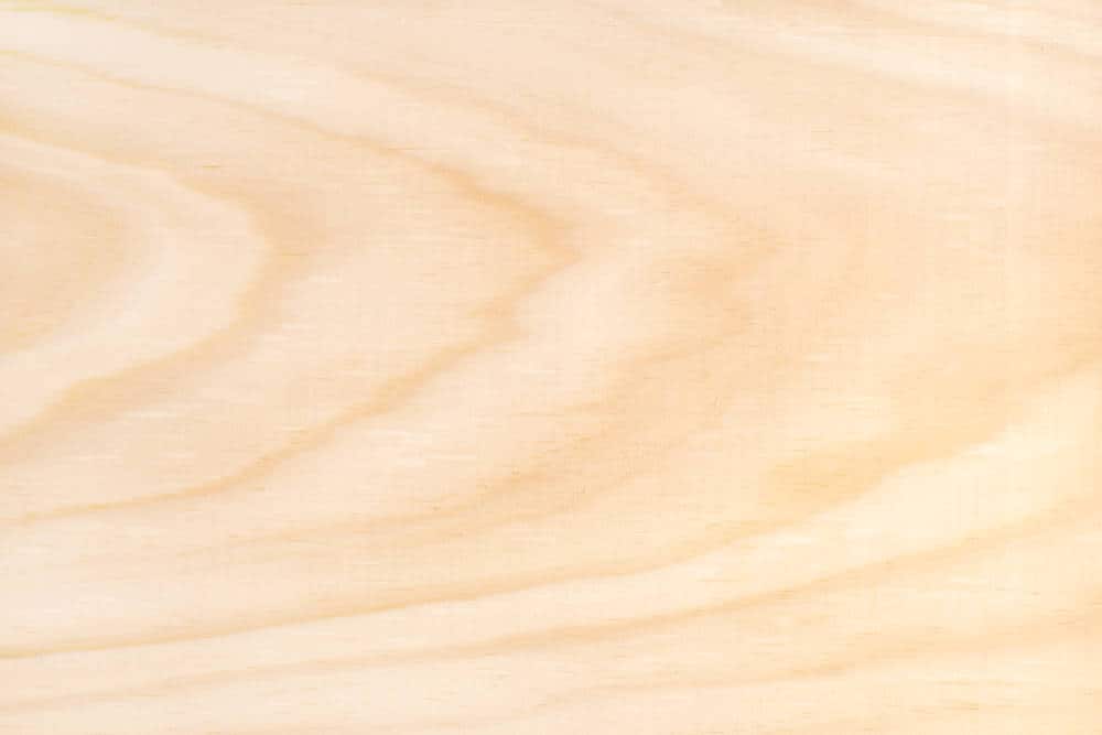 whitewood vs pine