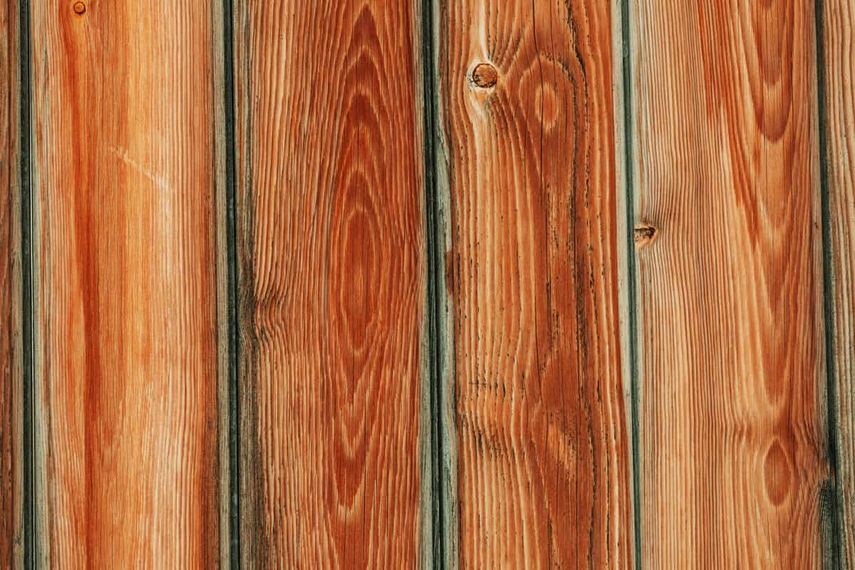 types of cedar wood