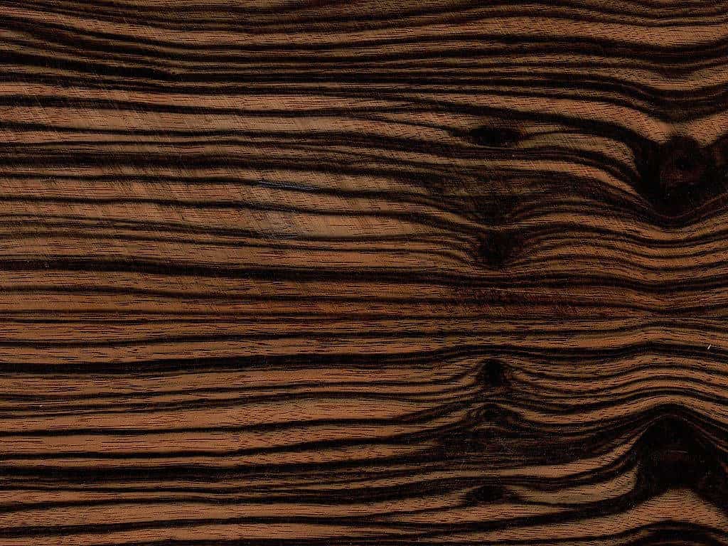 Macassar Ebony (Diospyros celebica)
