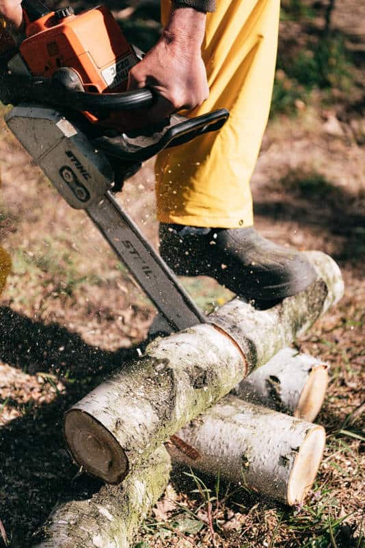 Trim logs to 16-inch lengths