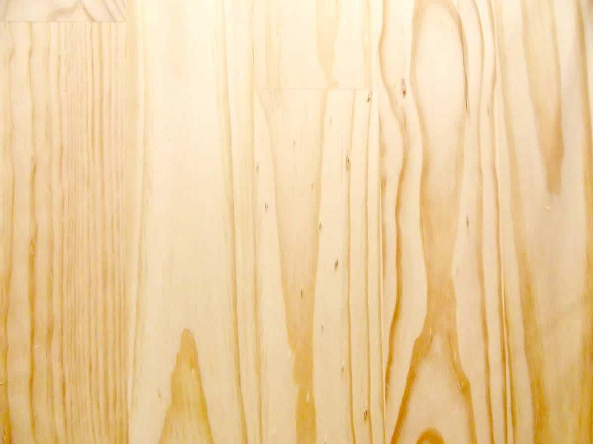 types of pine wood