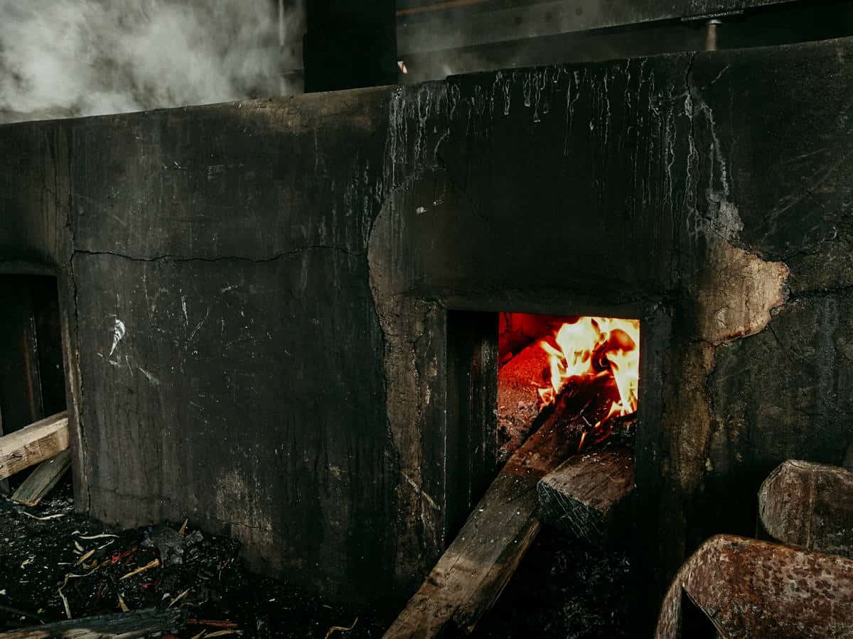 can you burn rotten wood