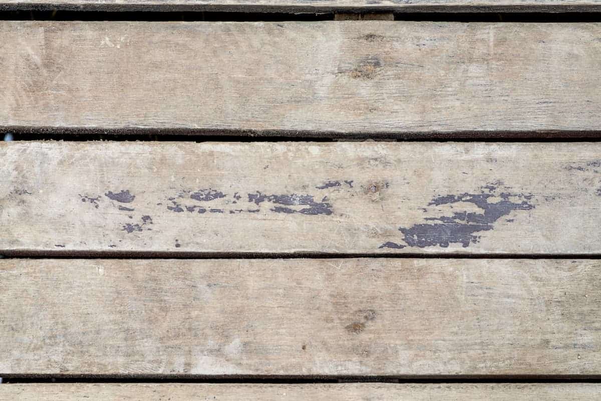 how to keep untreated wood from rotting