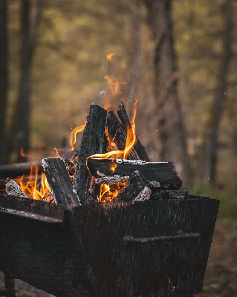 Fireplace in the Forest | burning rotten wood