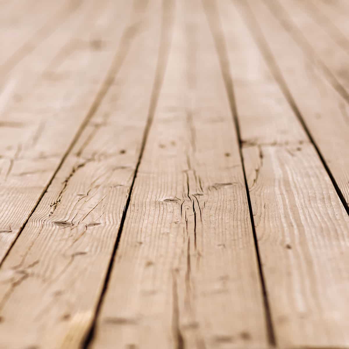 alder vs birch vs maple